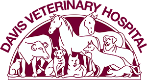 Davis Animal Hospital logo