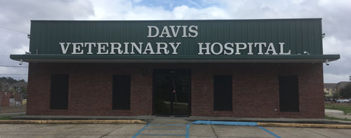 Davis Veterinary Hospital | Hattiesburg, Mississippi 39401