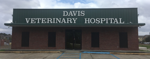 Davis Veterinary Hospital Hattiesburg Mississippi 39401